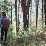 Ranthankharak Trek
