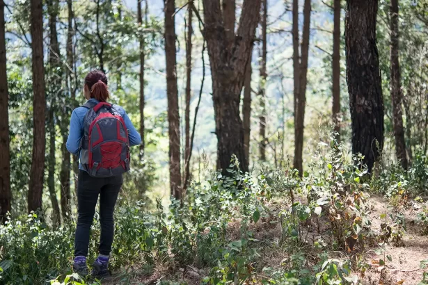Ranthankharak Trek