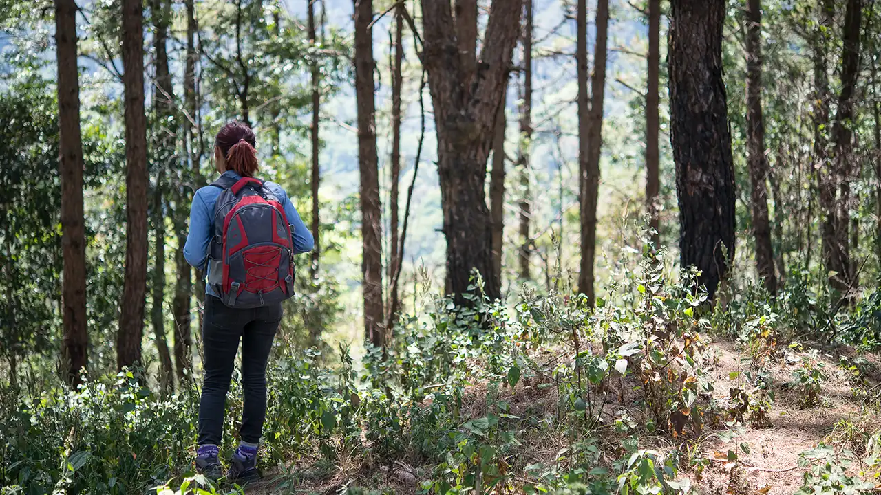 Ranthankharak Trek