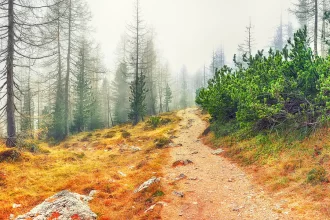 Top 10 Unexplored Hill Stations in India