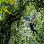 Zip Lining