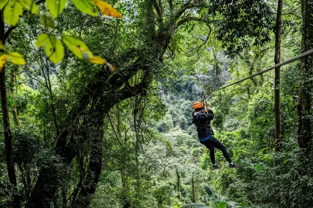 Zip Lining