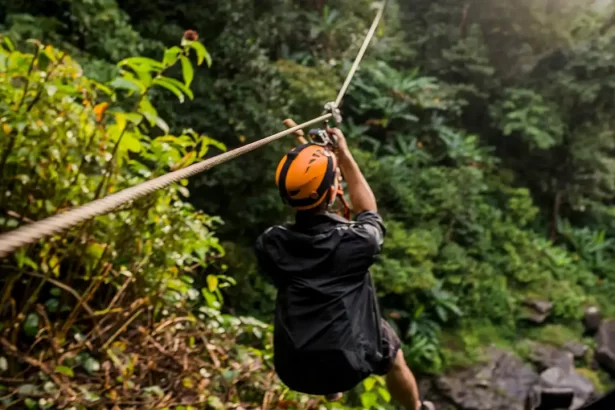 Zip Lining Adventure in Rotorua, New Zealand