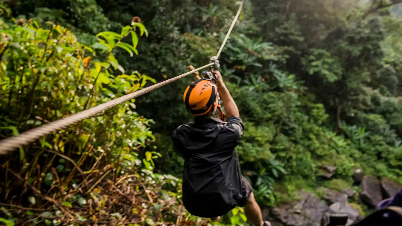 Zip Lining Adventure in Rotorua, New Zealand