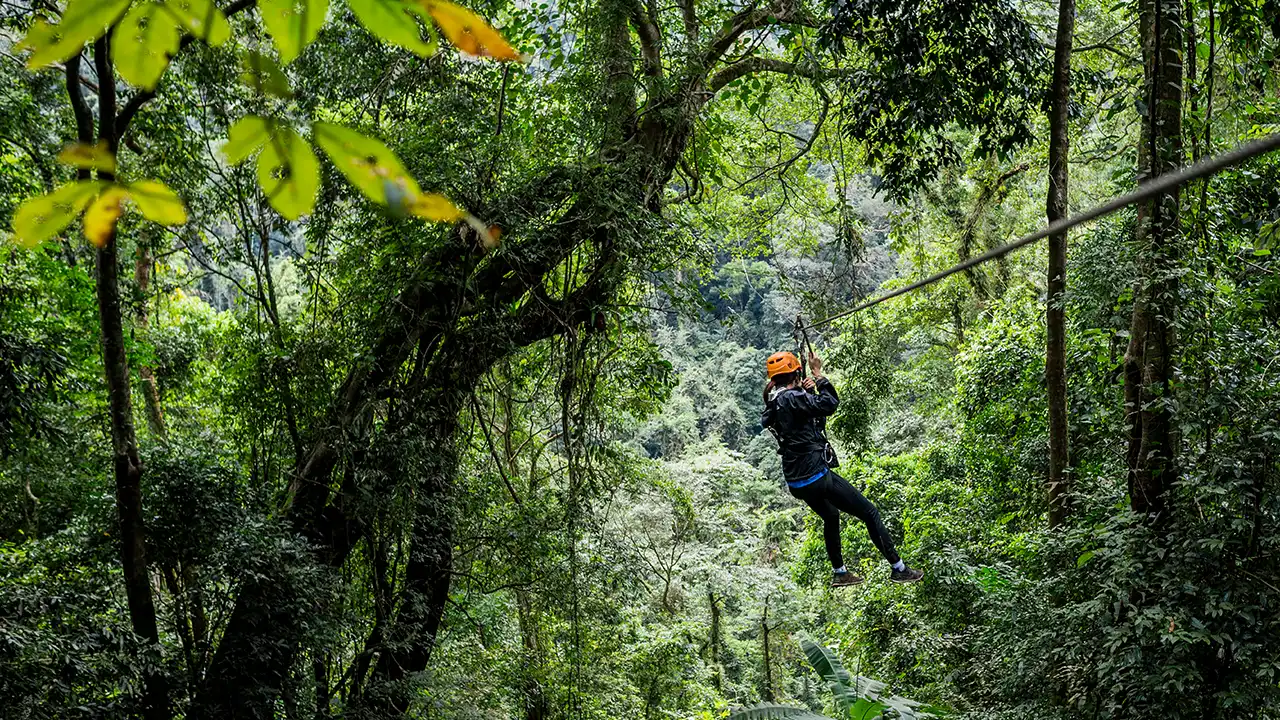 Zip Lining