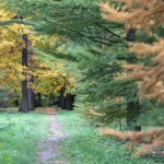 Chirbatiya Trek