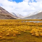 Hampta Pass Trek Guide