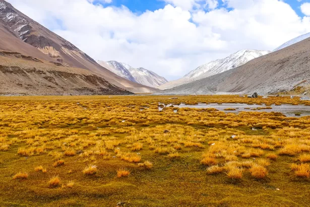 Hampta Pass Trek Guide