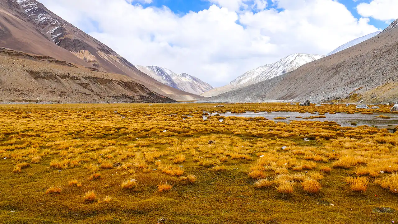 Hampta Pass Trek Guide