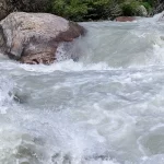 Monsoon Update