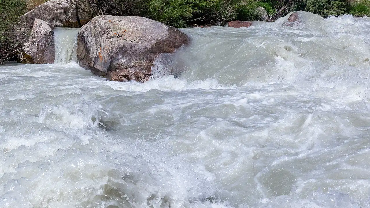 Monsoon Update