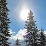 Pangarchulla Peak Trek