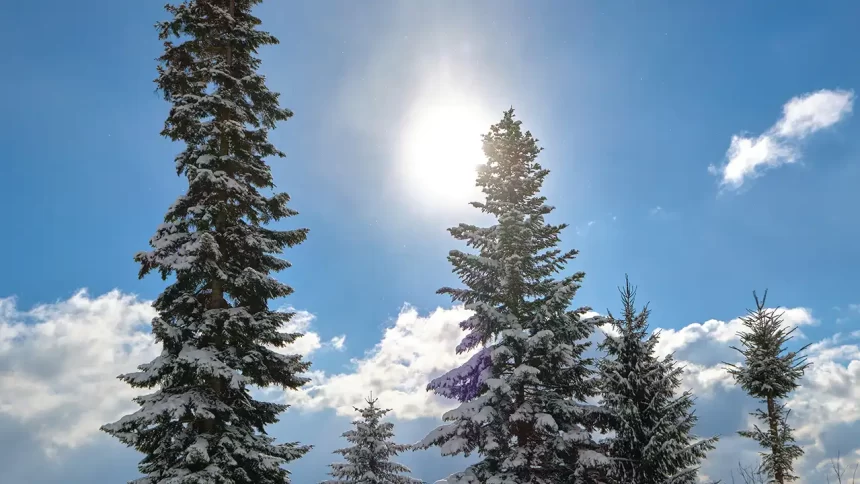 Pangarchulla Peak Trek