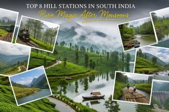 Visiting Top 8 Hill Stations in South India That Are Pure Magic After Monsoons