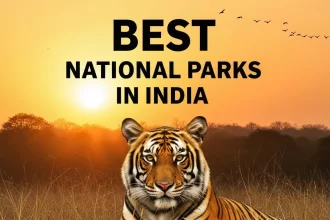 Best National Parks in India to Visit in October 2025: A Wildlife Lover's Guide - Outdoorkeeda
