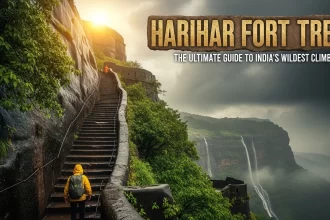 Harihar Fort Trek: The Ultimate Guide to India's Wildest Climb