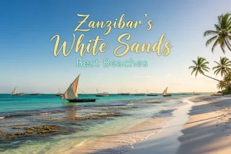 Zanzibar's White Sands Best Beaches and Spice Tours - Outdoorkeeda